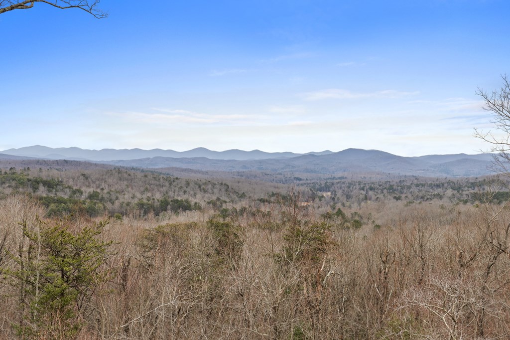 312 Oak Ledge Road Morganton, GA 30560 - Photo 24 of 45 Gallery Image 24