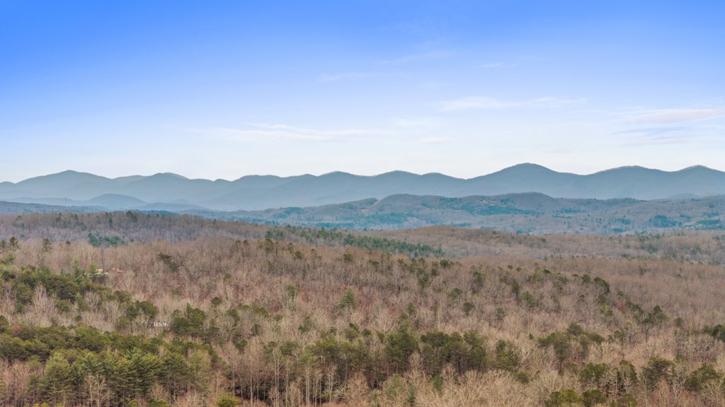 312 Oak Ledge Road Morganton, GA 30560 - Photo 41 of 45 Gallery Image 41