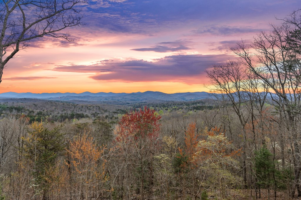 312 Oak Ledge Road Morganton, GA 30560 - Photo 8 of 45 Gallery Image 8