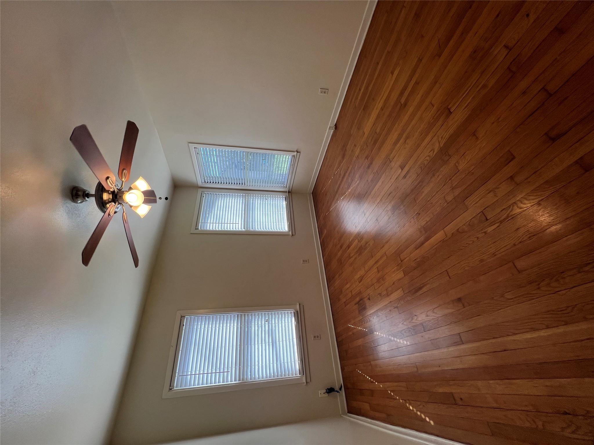 1007 East 38th Street Austin, TX 78705 - Photo 14 of 19