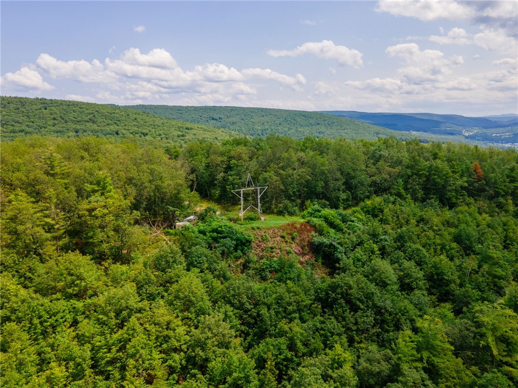 L16 MT Path Middleburgh, NY 12122 - Photo 26 of 29