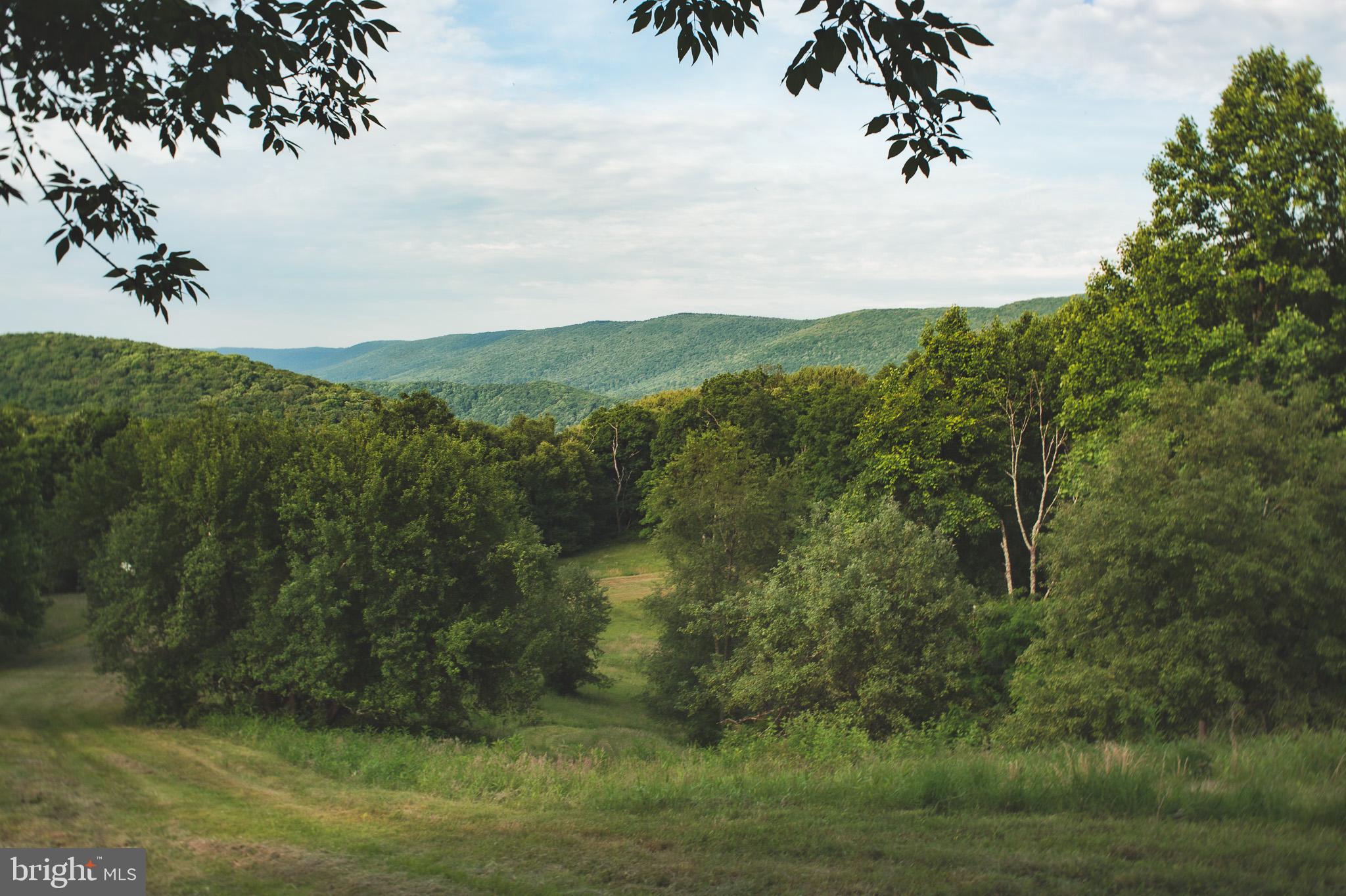 7242 Files Creek Road Beverly, WV 26253 - Photo 11 of 63