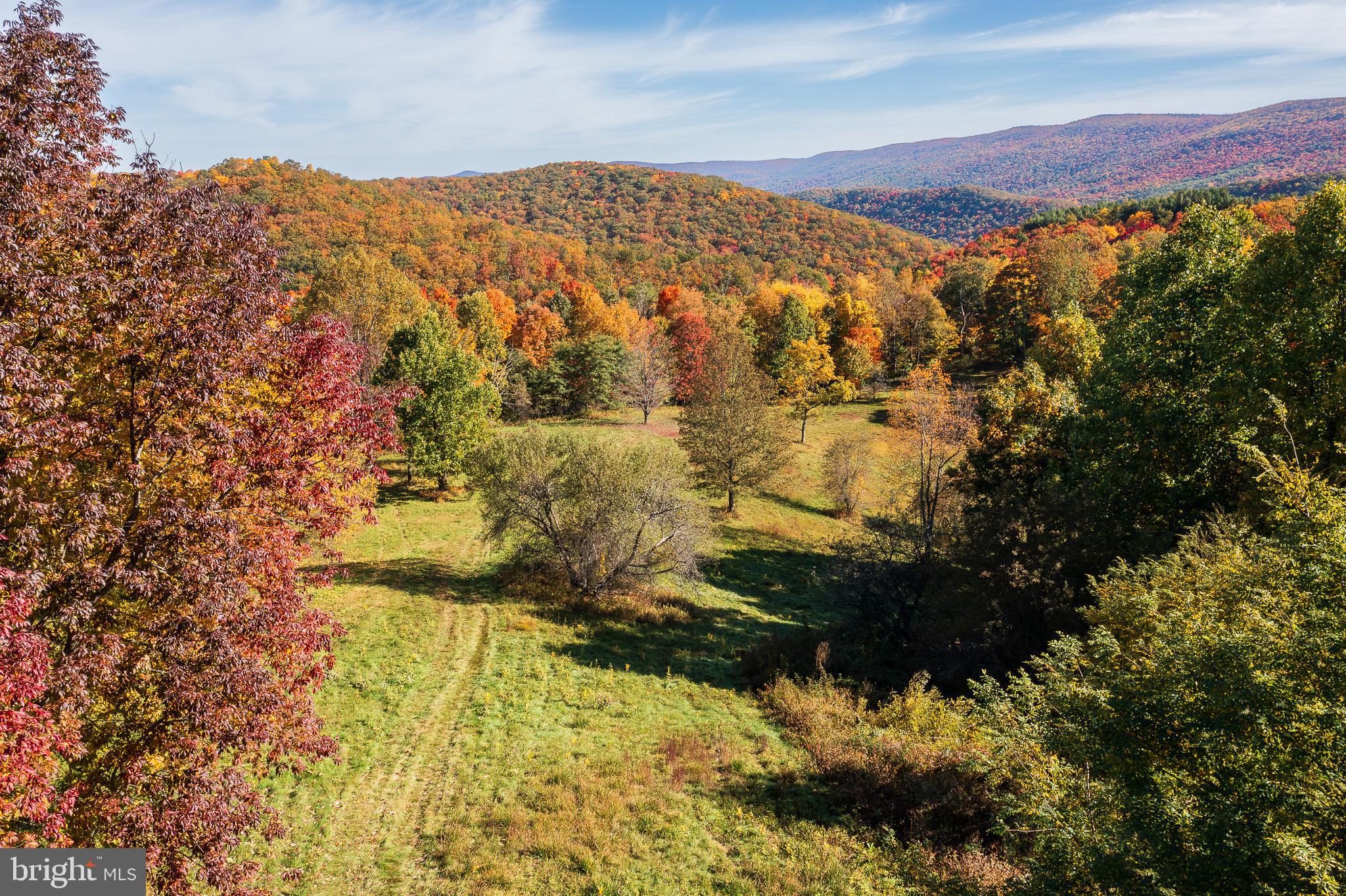 7242 Files Creek Road Beverly, WV 26253 - Photo 23 of 63