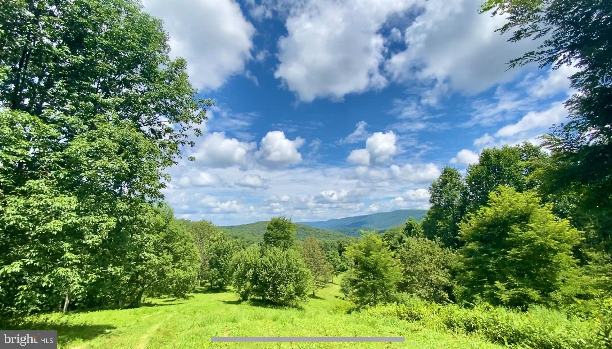 7242 Files Creek Road Beverly, WV 26253 - Photo 24 of 63