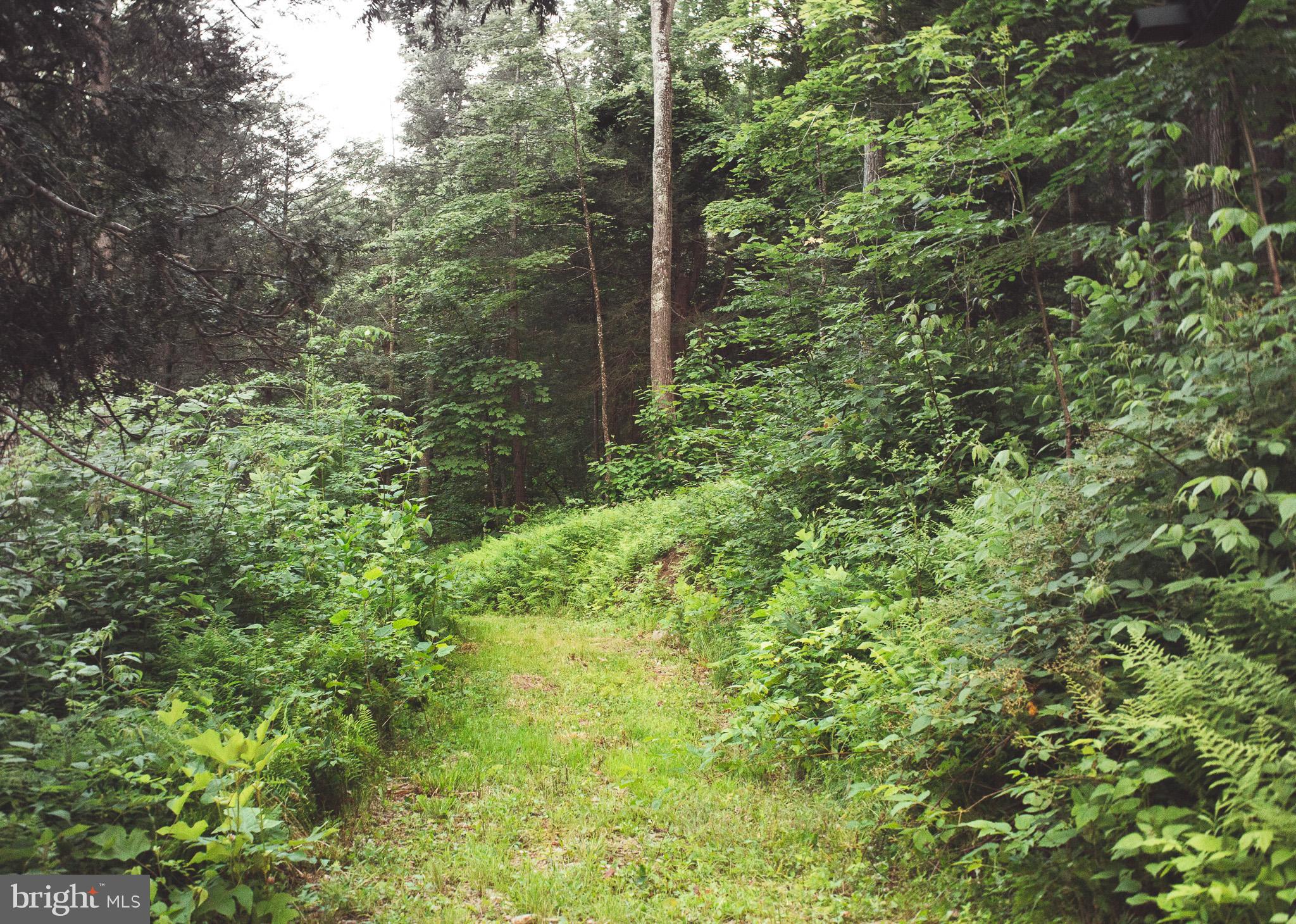 7242 Files Creek Road Beverly, WV 26253 - Photo 53 of 63