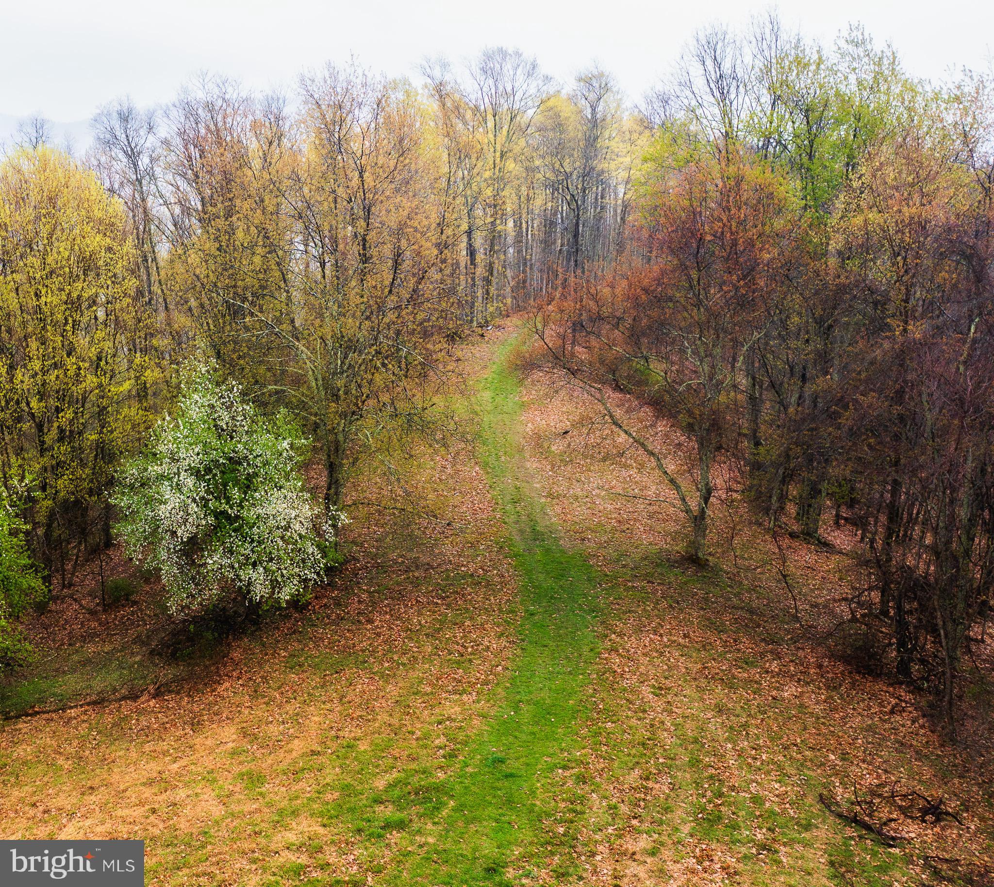 7242 Files Creek Road Beverly, WV 26253 - Photo 58 of 63
