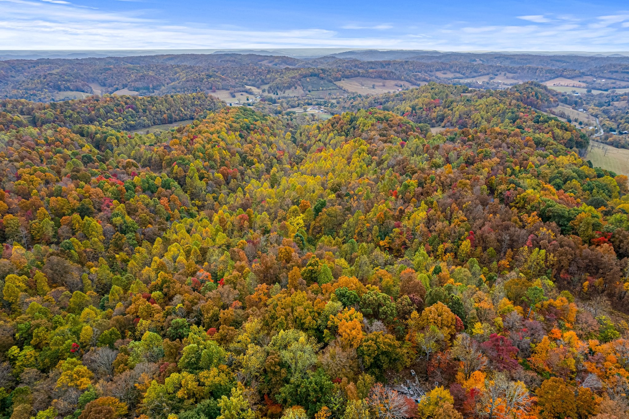 0 Monte Murrey Road Lewisburg, TN 37091 - Photo 12 of 13 Gallery Image 12