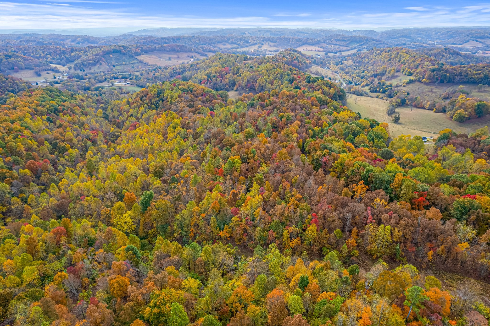 0 Monte Murrey Road Lewisburg, TN 37091 - Photo 3 of 13 Gallery Image 3