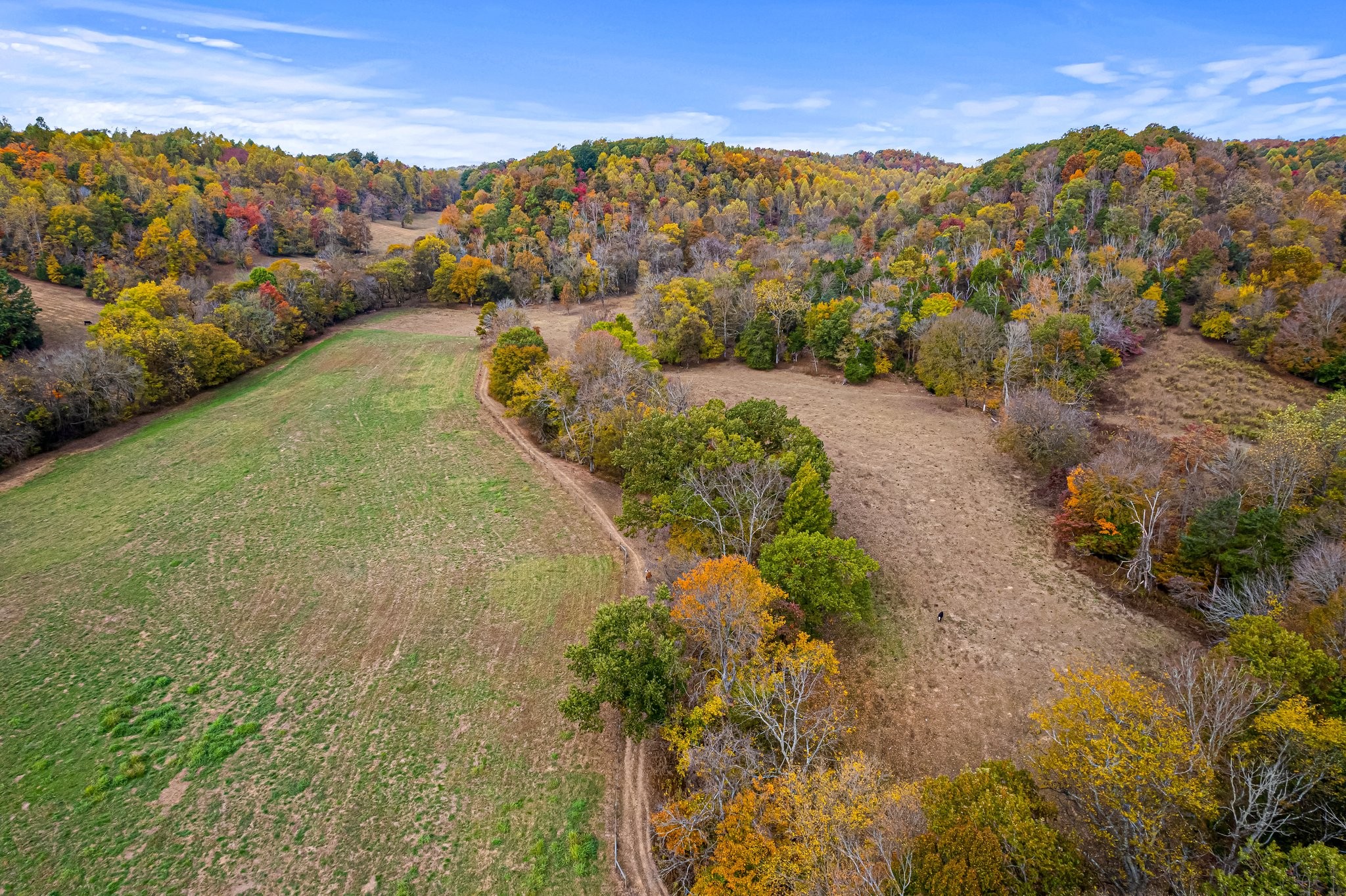 0 Monte Murrey Road Lewisburg, TN 37091 - Photo 6 of 13 Gallery Image 6
