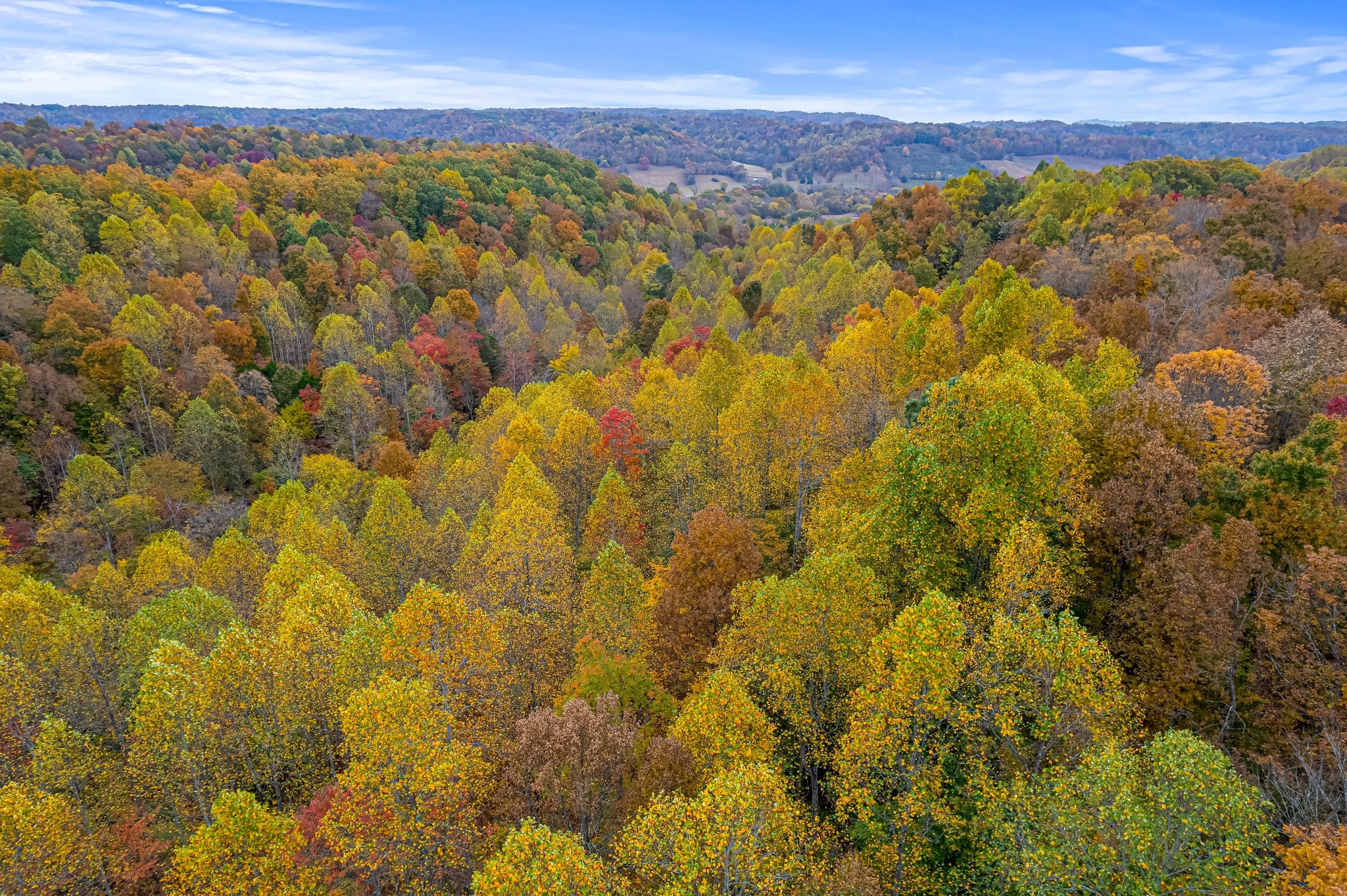 0 Monte Murrey Road Lewisburg, TN 37091 - Photo 10 of 13 Gallery Image 10