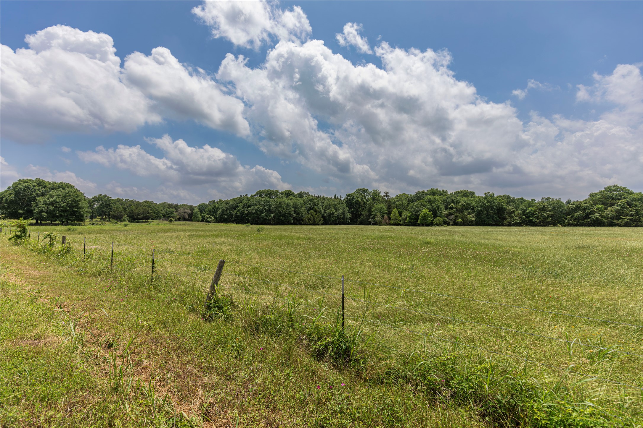 0 Skalak Road Bellville, TX 77418 - Photo 11 of 11