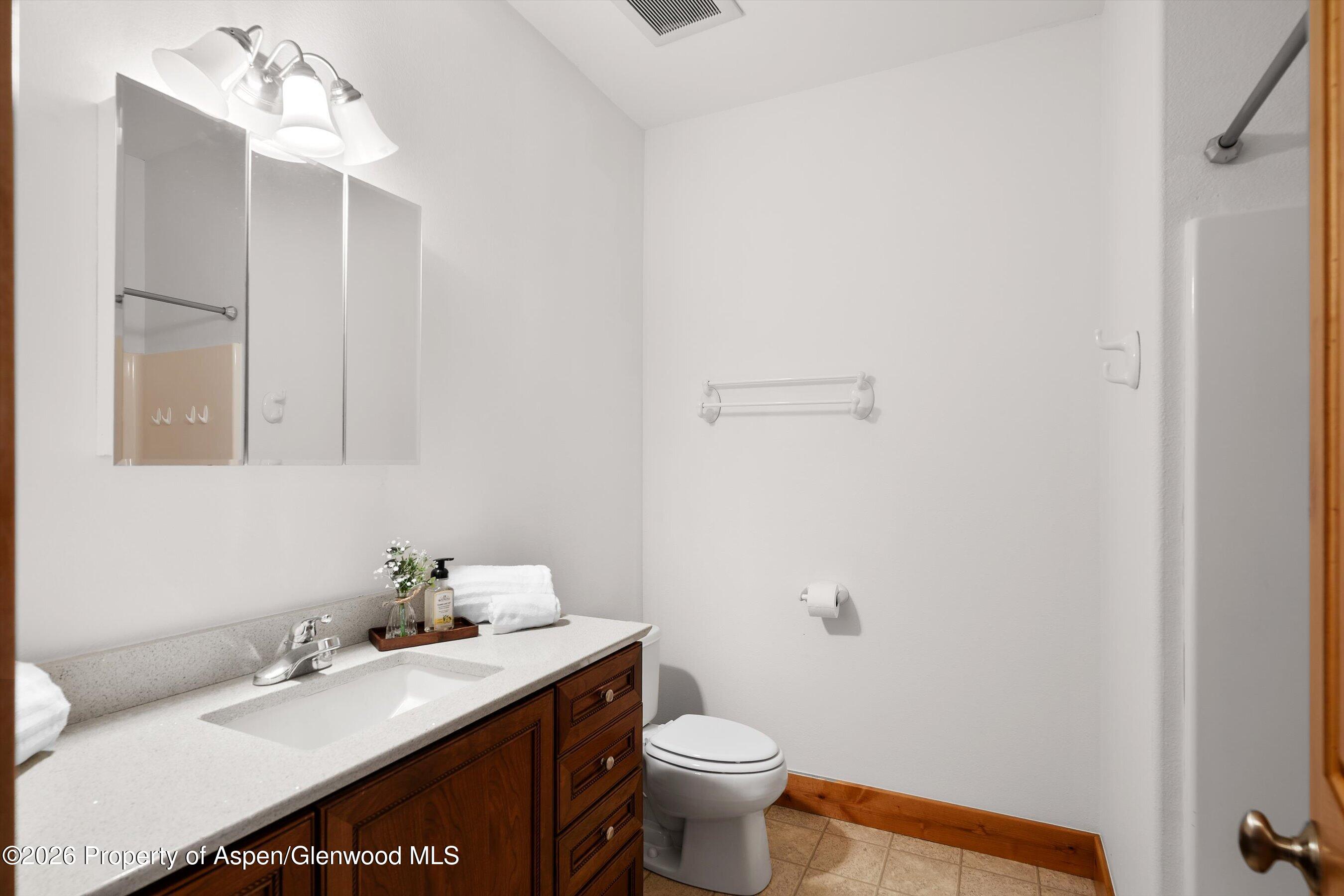 450 Summer Falls Road Silt, CO 81652 - Photo 28 of 50 a bathroom with a sink vanity mirror and toilet