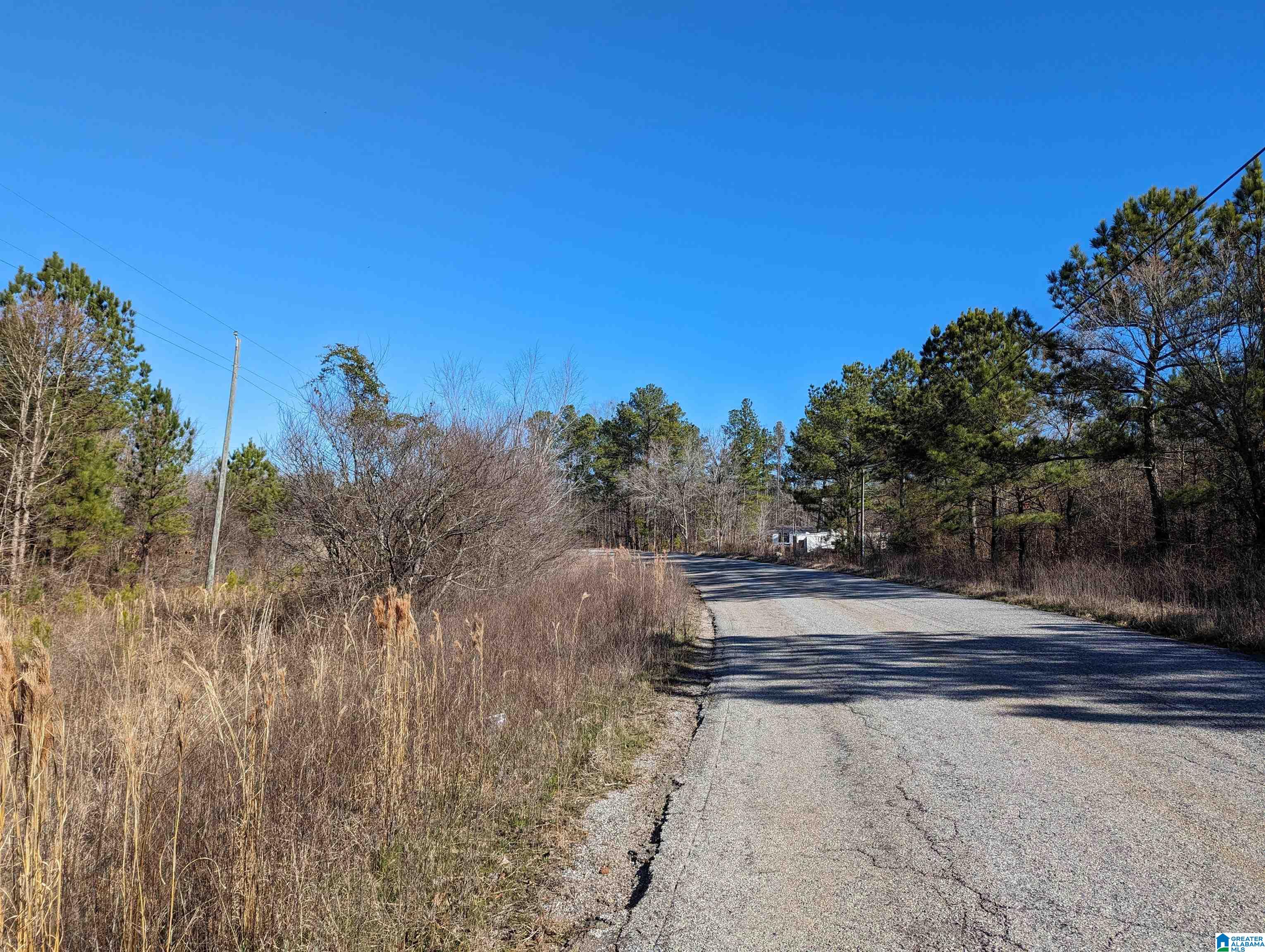 0 Chandler Springs Road Talladega, AL 35160 - Photo 30 of 35