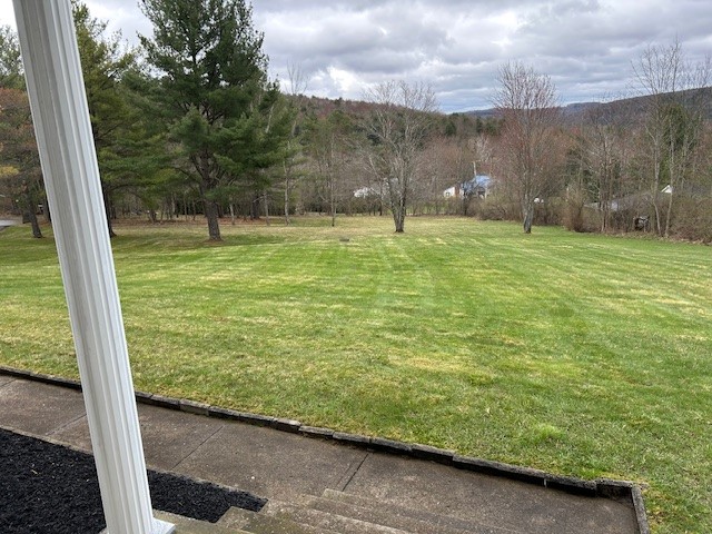 165 Meeker Road Vestal, NY 13850 - Photo 9 of 49