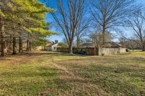 a view of yard with large trees