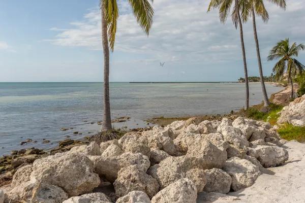 a view of street with view of building