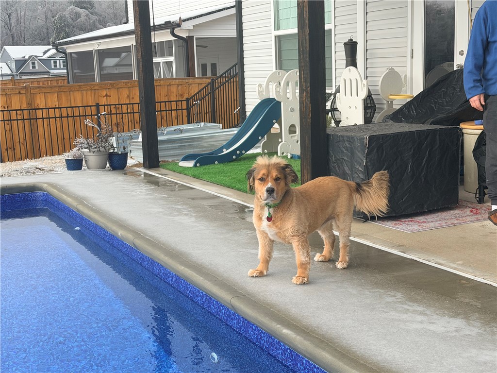 203 Legacy Lane Liberty, SC 29657 - Photo 42 of 47 This private yard offers a sparkling pool and ample space for outdoor enjoyment.