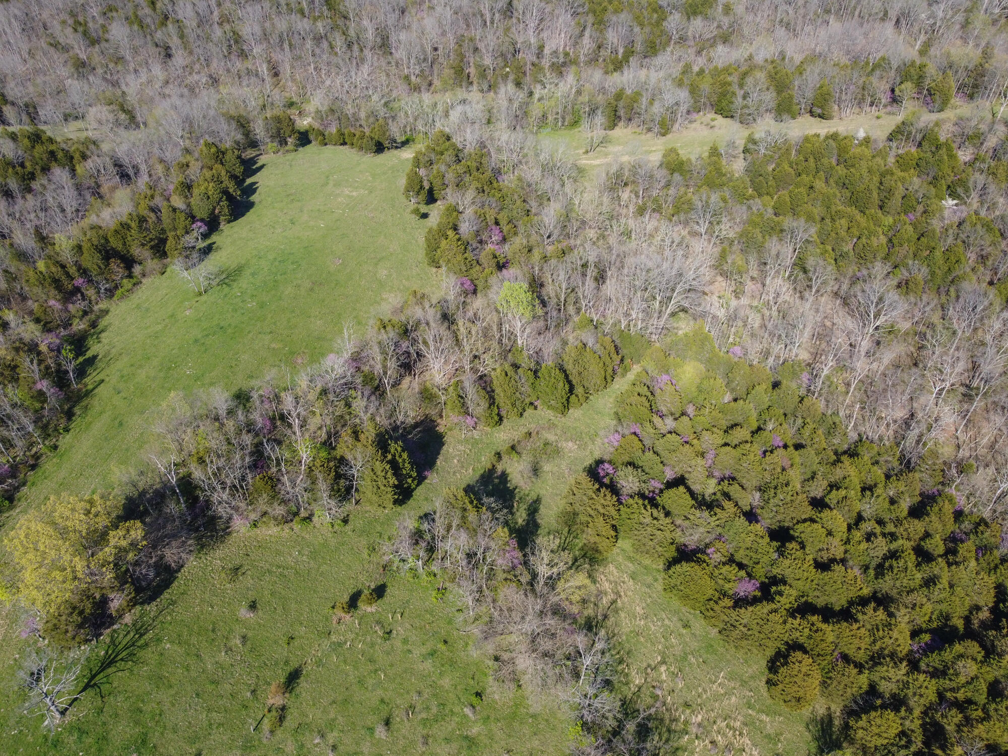 214-acres Keefer Road Corinth, KY 41010 - Photo 25 of 39 Keefer-28