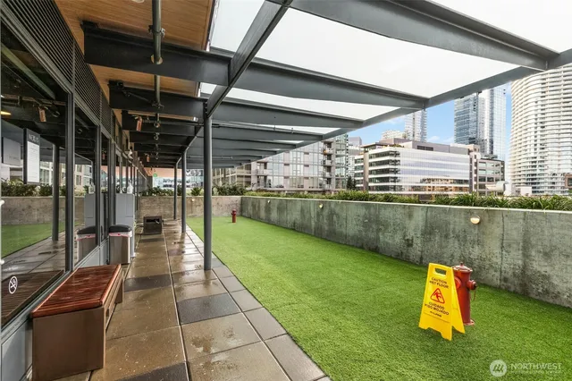 a view of a backyard of the house