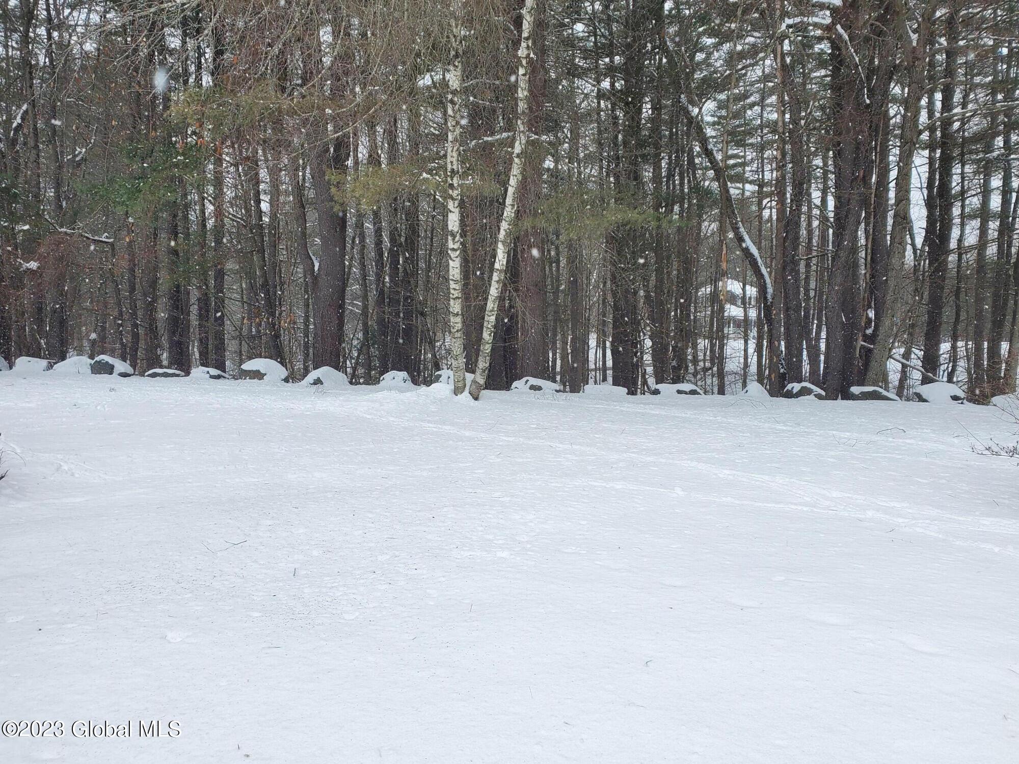 117 Juergens Point Road Mayfield, NY 12117 - Photo 60 of 62 20230125_122820