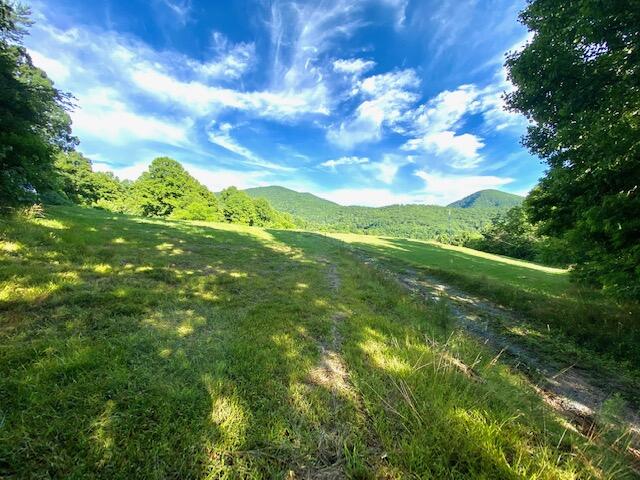 274 Morton Road Hampton, TN 37658 - Photo 6 of 18 IMG_1223