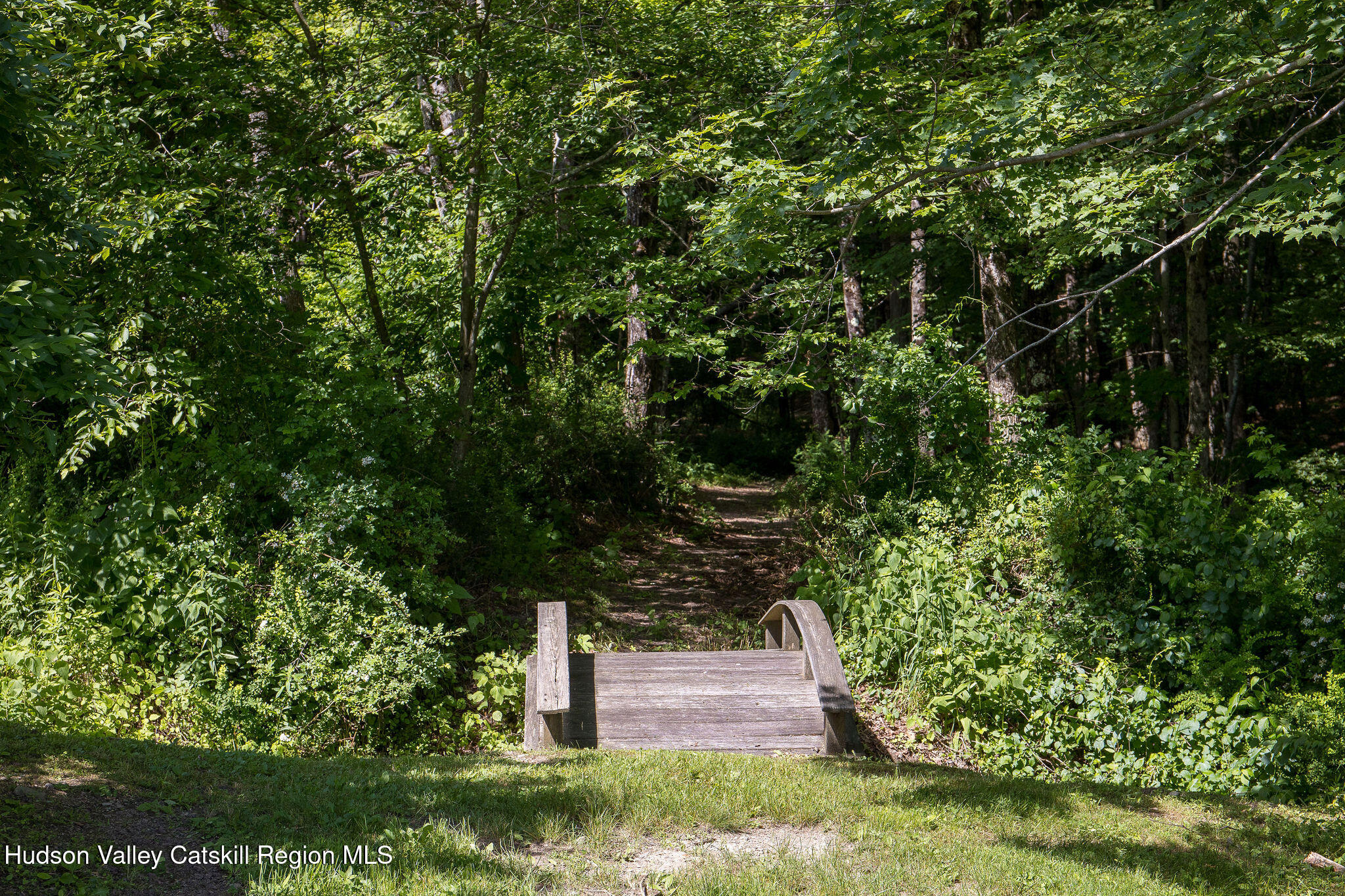 4983 Crow Hill Road Austerlitz, NY 12037 - Photo 38 of 41 0018-trail