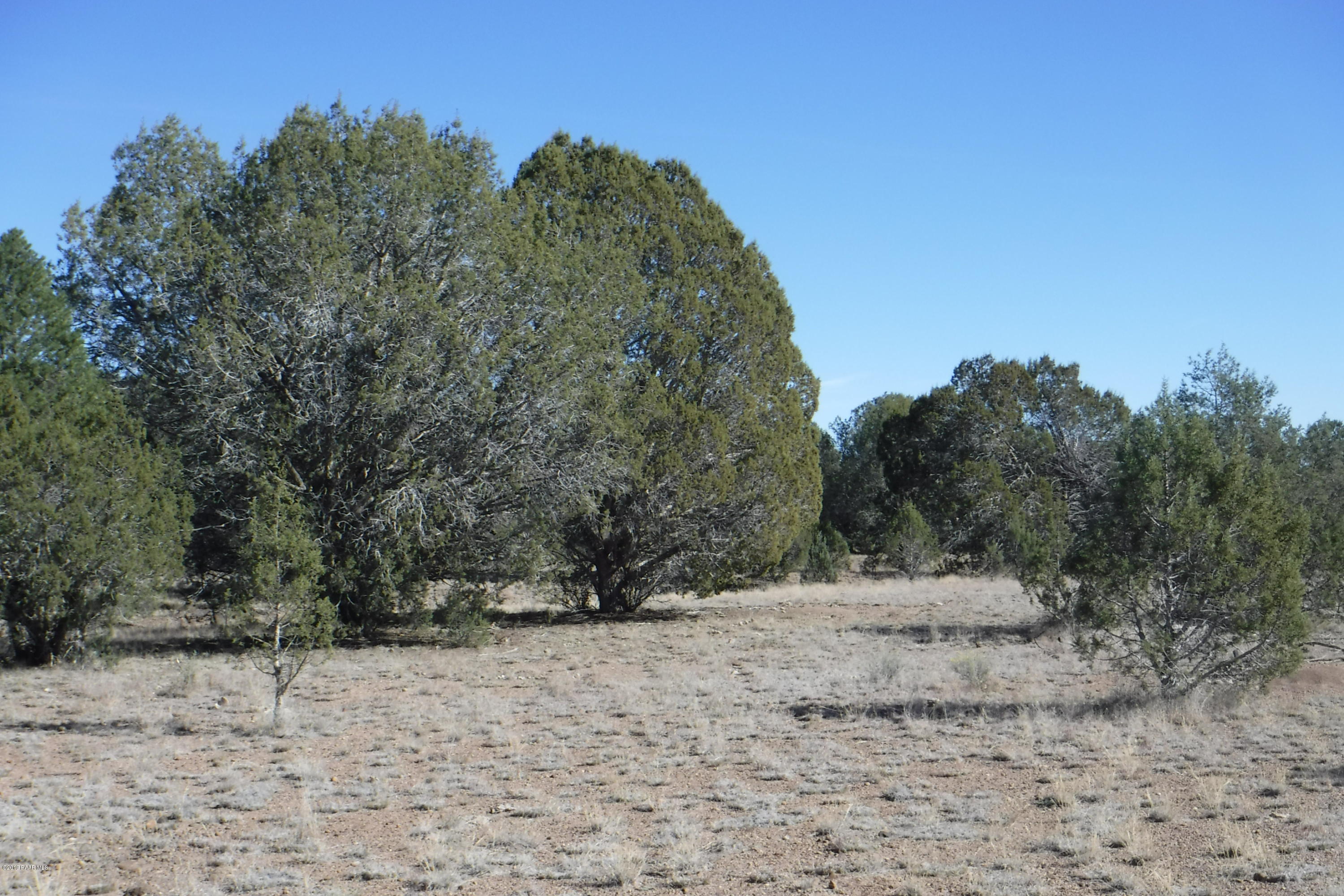 613 West Cory Road Williams, AZ 86046 - Photo 1 of 8 Land