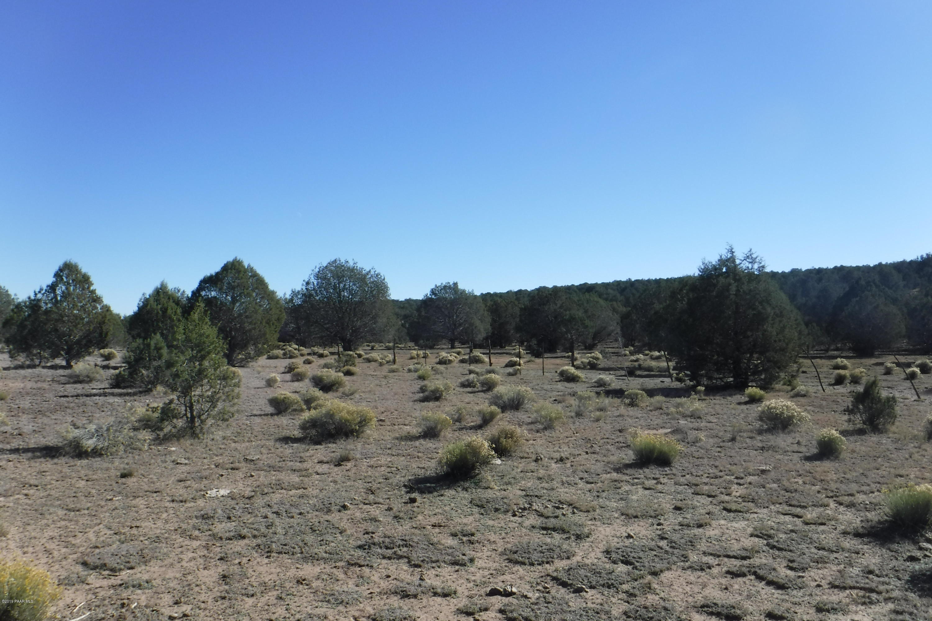 613 West Cory Road Williams, AZ 86046 - Photo 3 of 8 DSCF5331