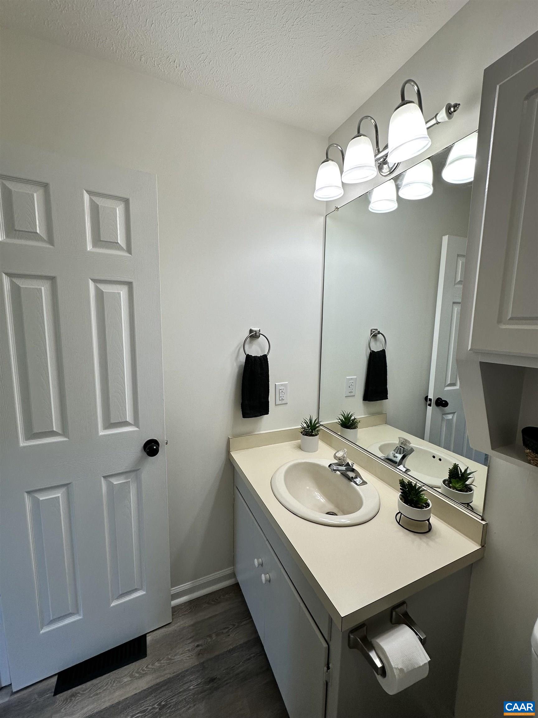122 Petunia Road Ruckersville, VA 22968 - Photo 42 of 59 a bathroom with a sink vanity and a mirror