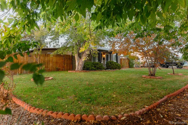 a backyard of a house with plants and large tree