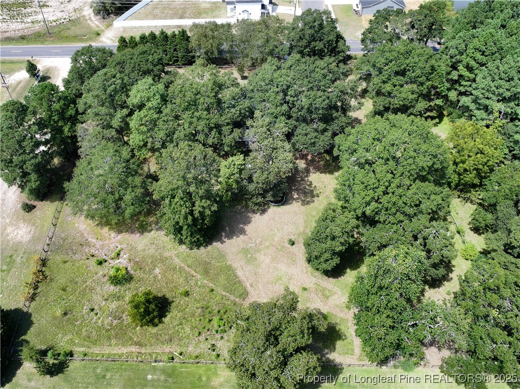 2135 Turnpike Road Raeford, NC 28376 - Photo 15 of 48 a view of a forest with a tree