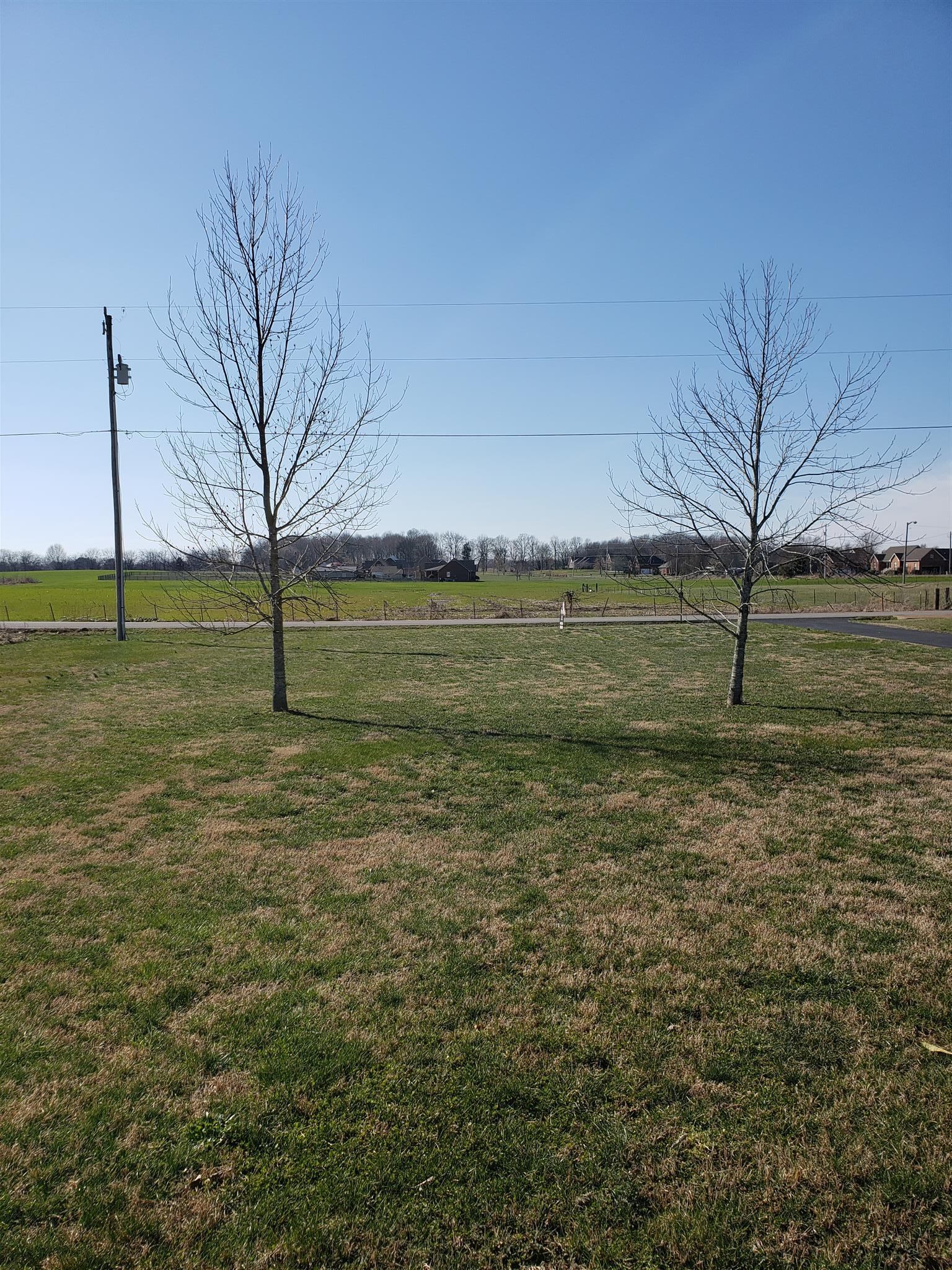 1574 Maxwell Branch Road Cottontown, TN 37048 - Photo 17 of 18