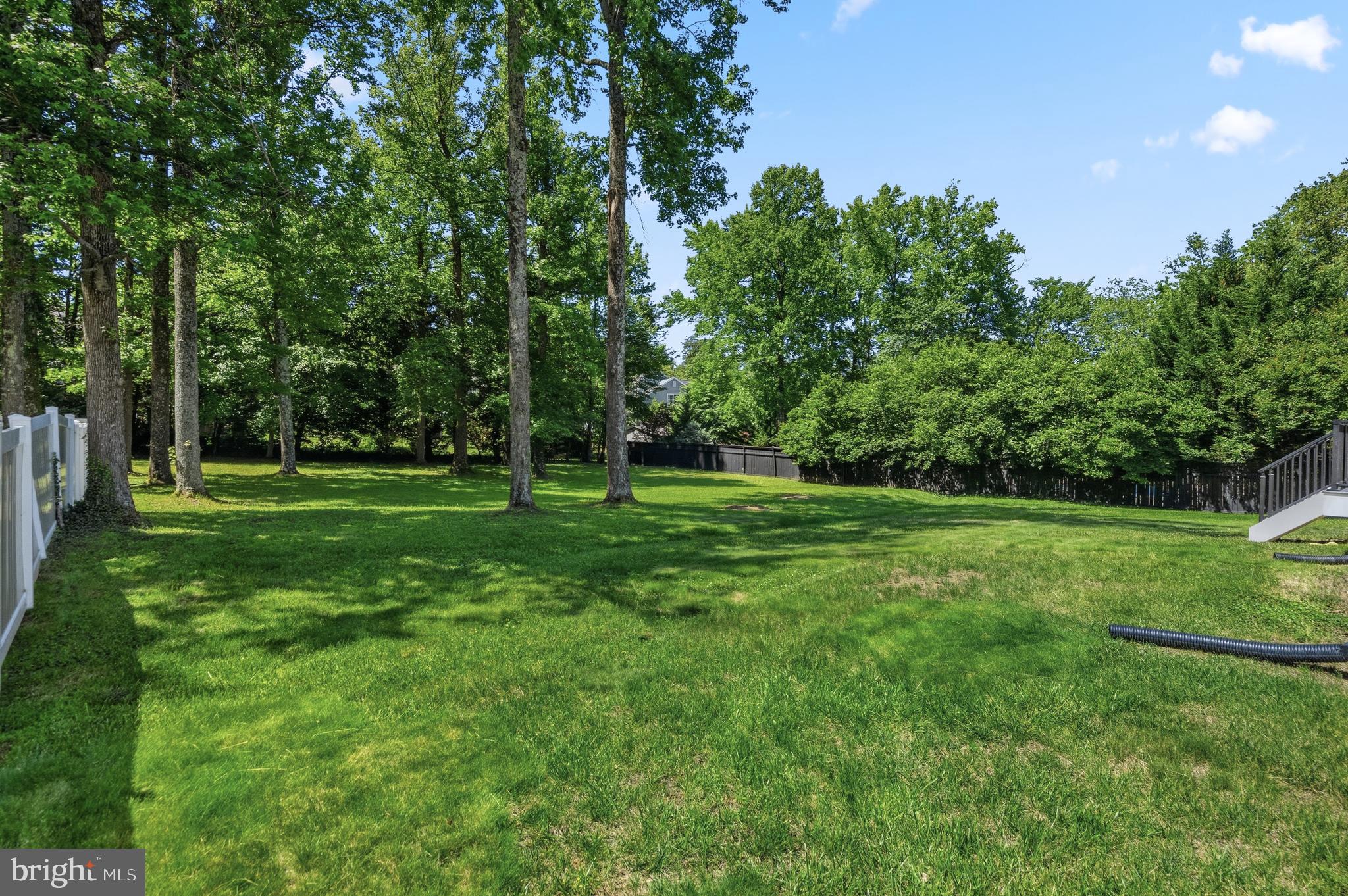 6733 Catskill Road Lorton, VA 22079 - Photo 57 of 62 Lucious Green Backyard with Mature Trees