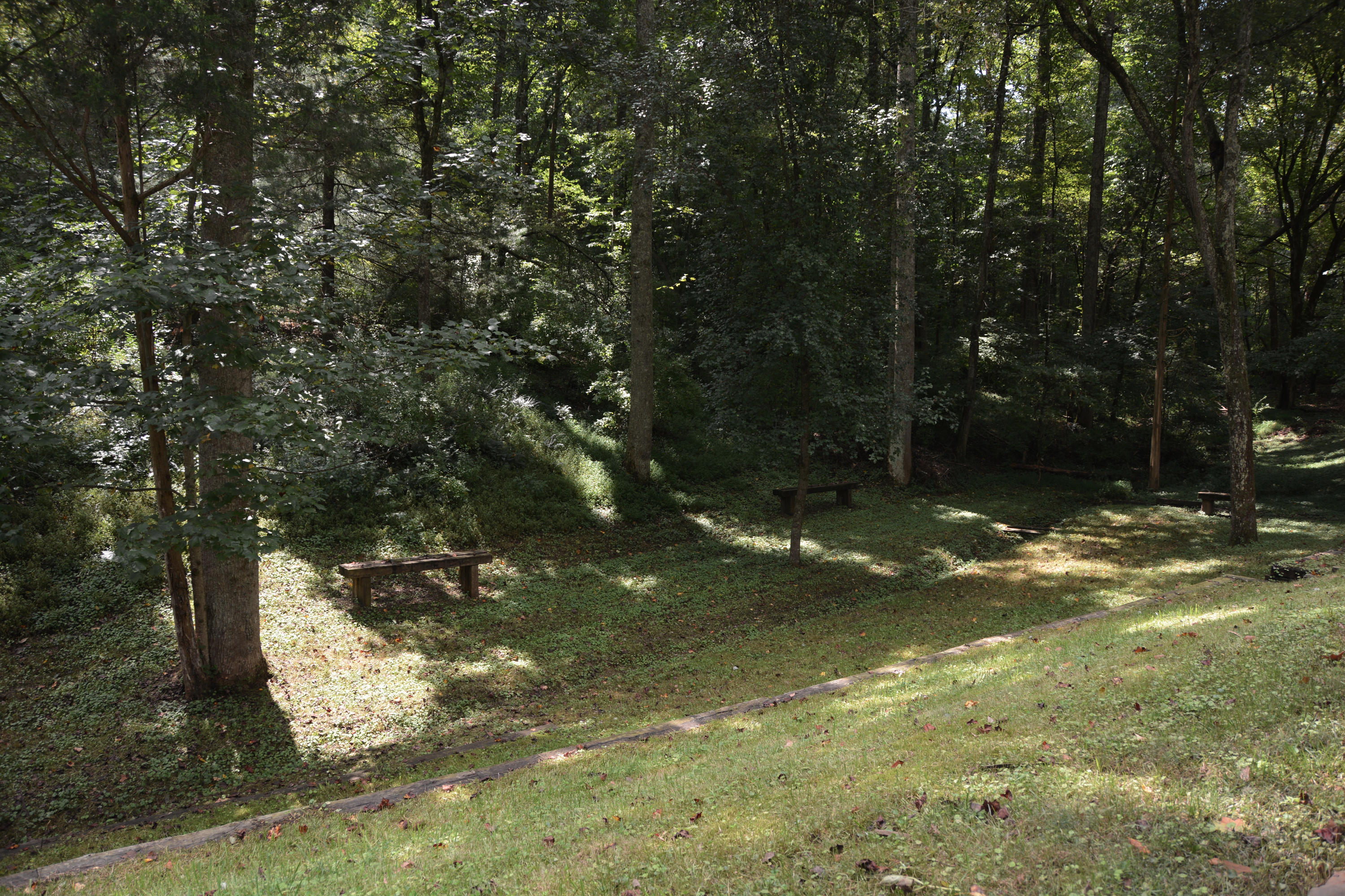 235 Gum Hollow Road Oak Ridge, TN 37830 - Photo 14 of 16 Backyard