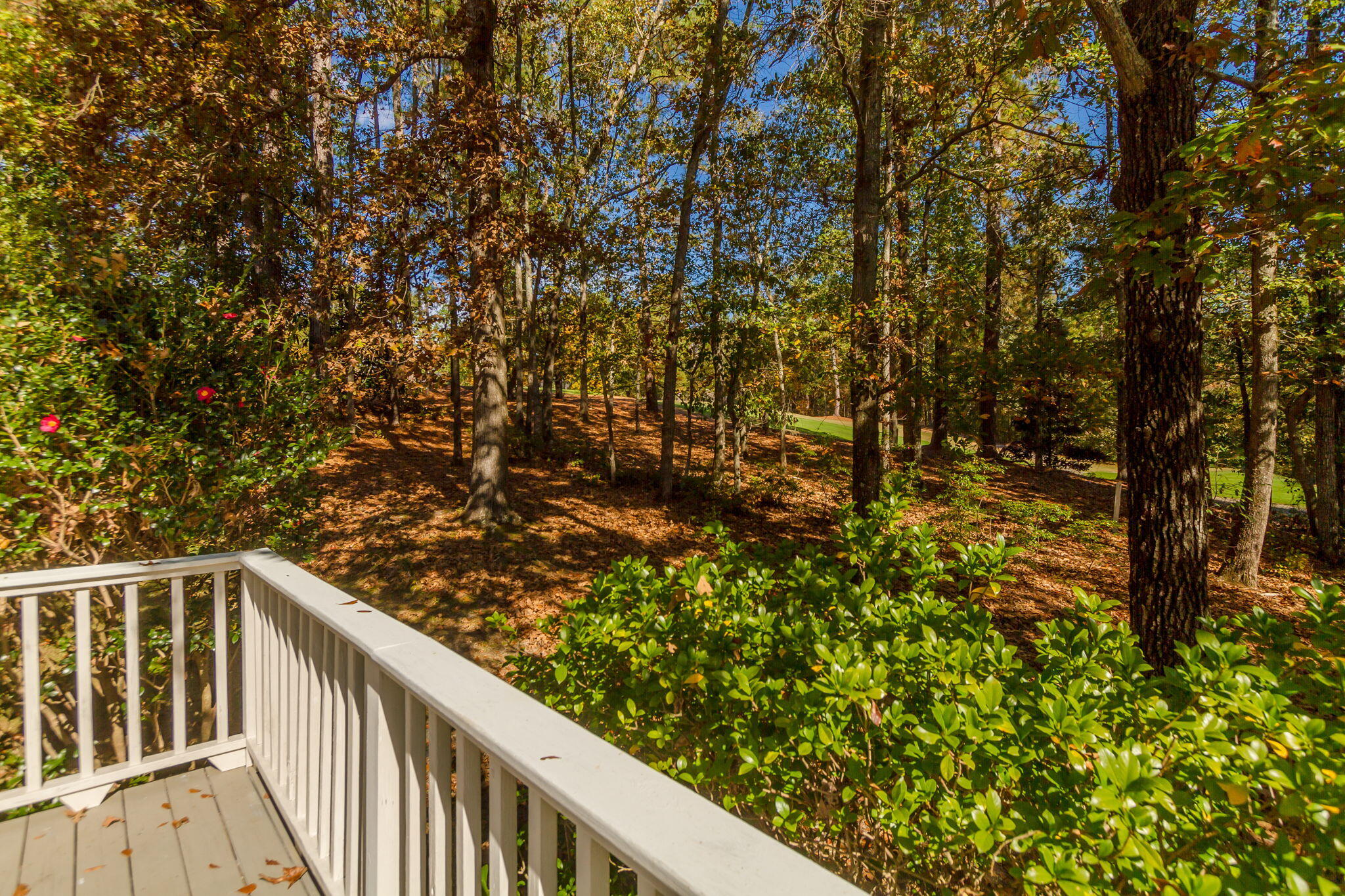 124 Sugarberry Road Aiken, SC 29803 - Photo 56 of 62