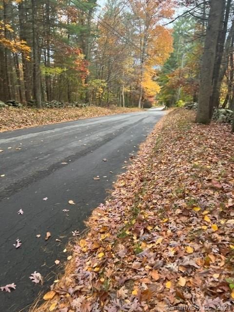 a view of a yard of a house