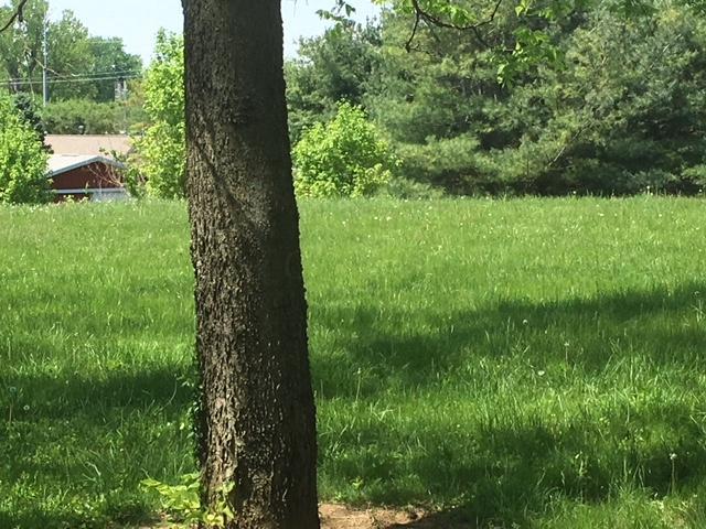 0 West Road Circleville, OH 43113 - Photo 2 of 4