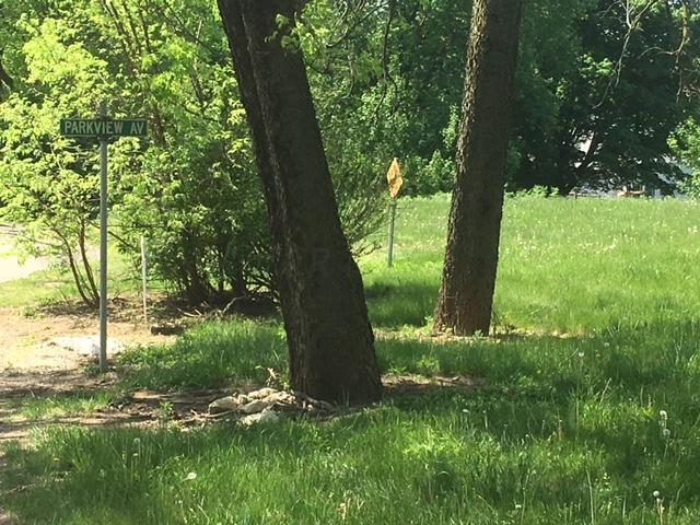 0 West Road Circleville, OH 43113 - Photo 3 of 4