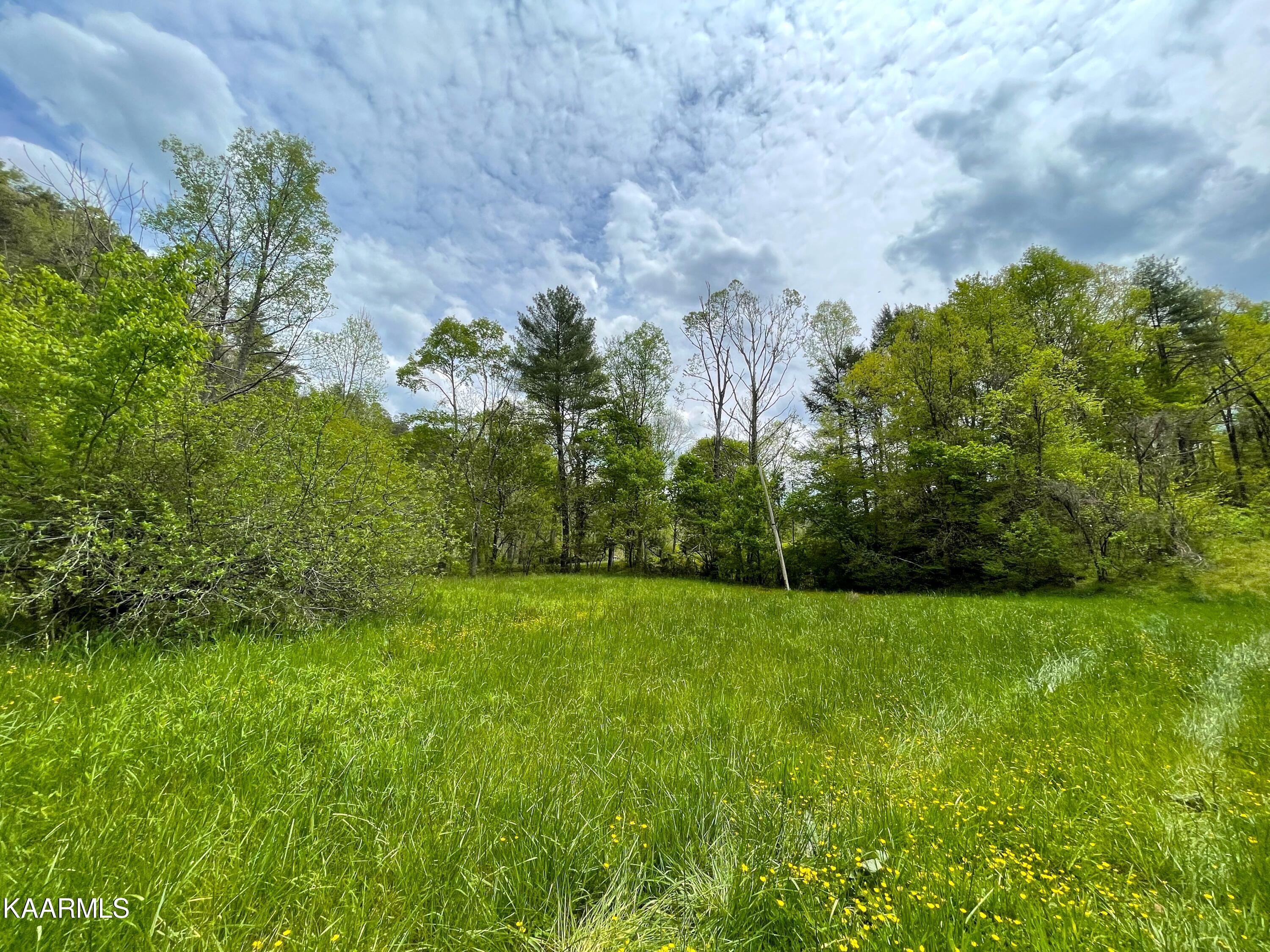 295 Dry Fork Road Del Rio, TN 37727 - Photo 2 of 13 2