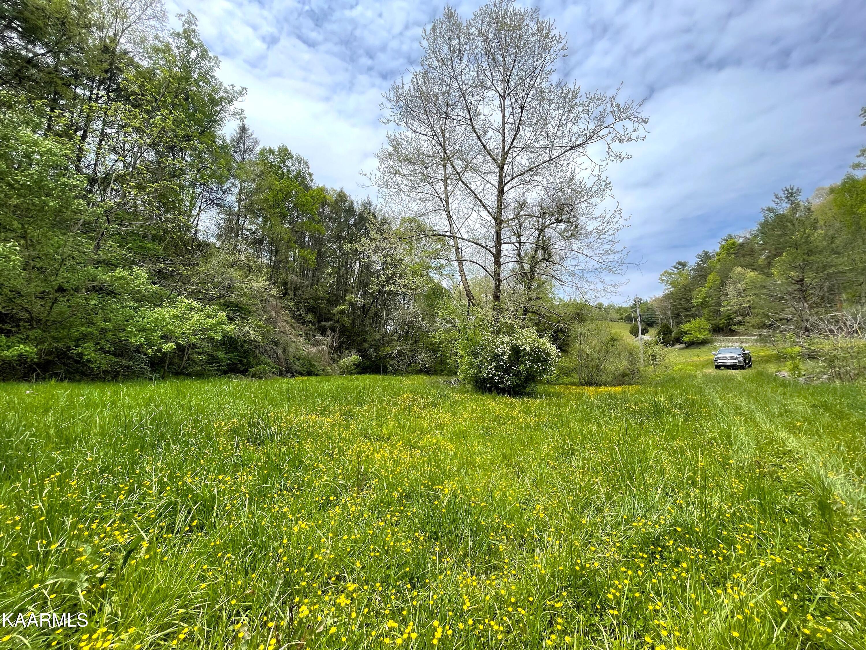 295 Dry Fork Road Del Rio, TN 37727 - Photo 7 of 13 7