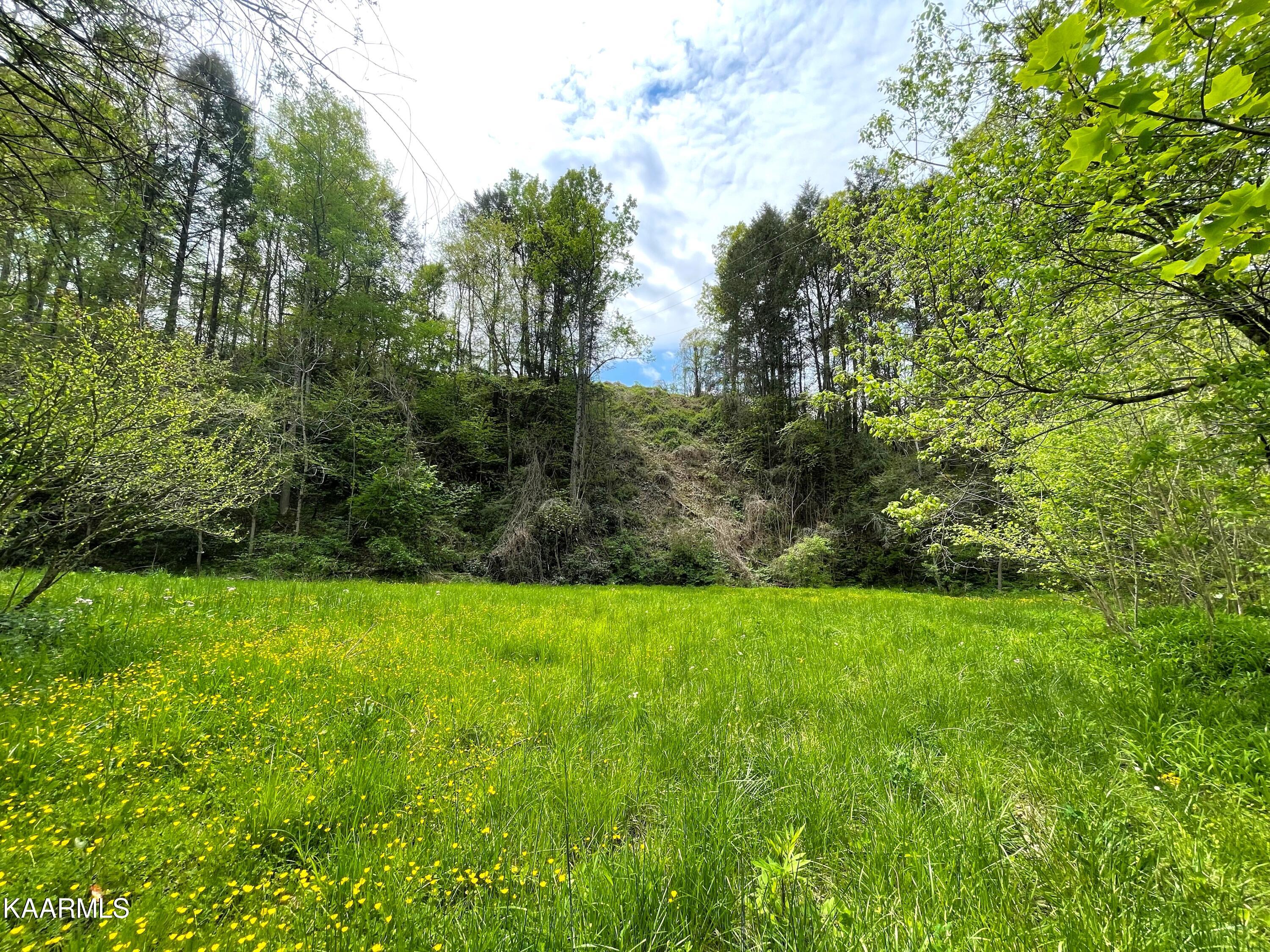 295 Dry Fork Road Del Rio, TN 37727 - Photo 10 of 13 10