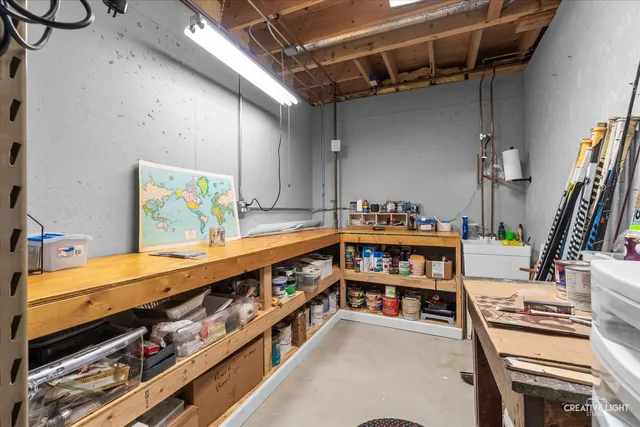 a view of a yard with plants and trees