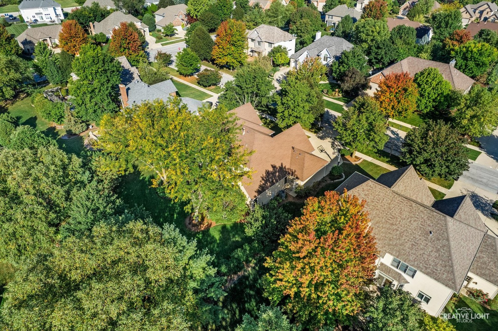 611 Pine Street Sugar Grove, IL 60554 - Photo 50 of 61 a view of a house with a tree