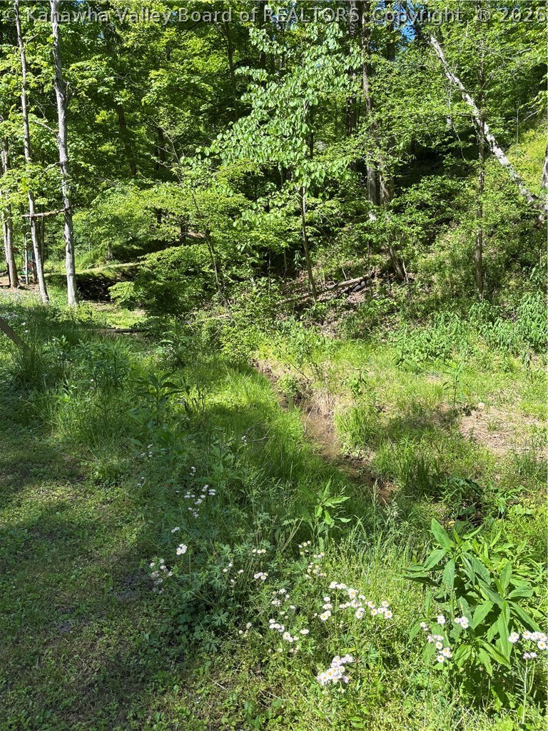 1460 Little Creek Road Milton, WV 25541 - Photo 5 of 22 Gallery Image 5