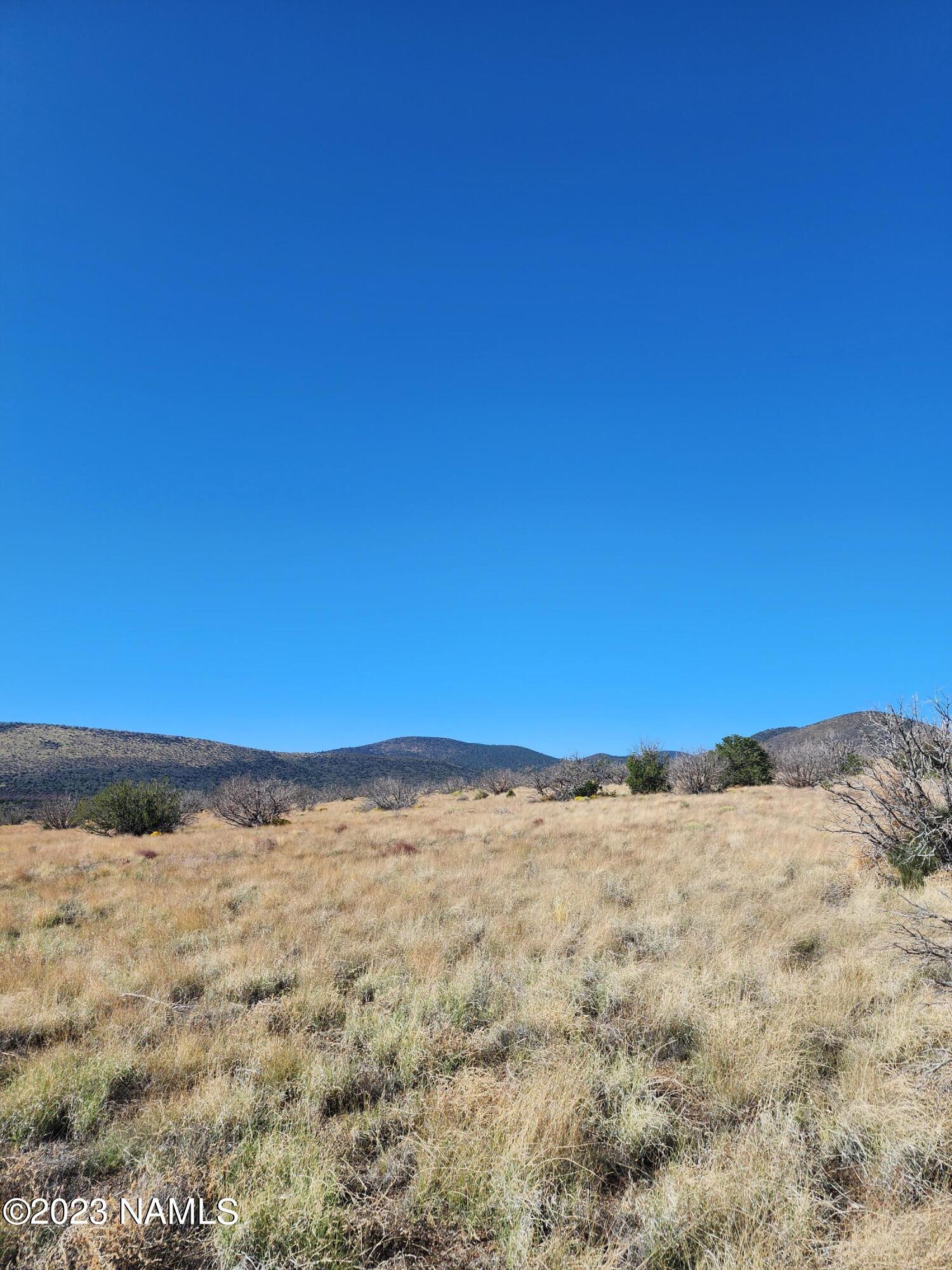 30343091 Alpine Ranch Flagstaff, AZ 86004 - Photo 4 of 5 30343091 view 3