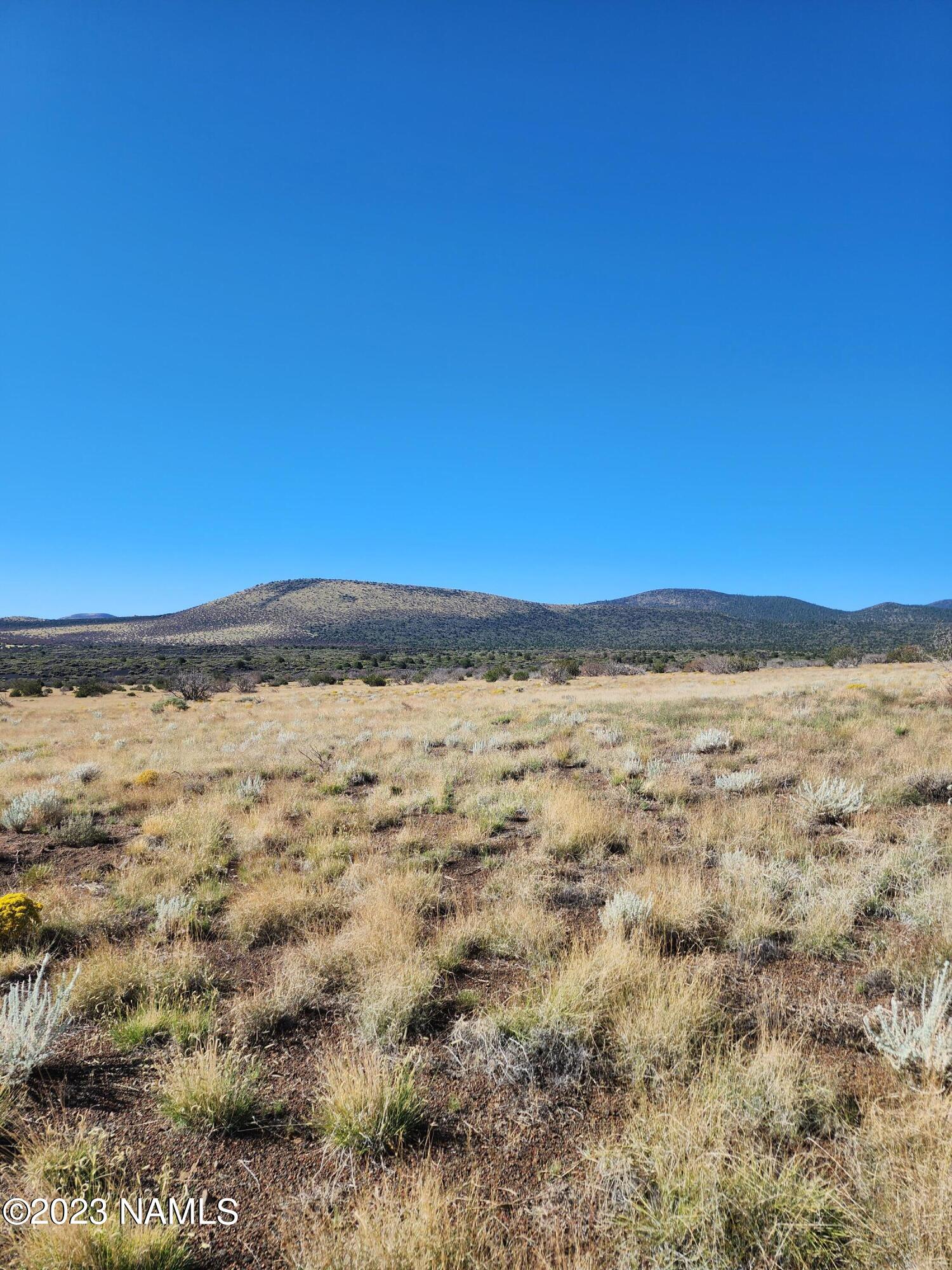 30343091 Alpine Ranch Flagstaff, AZ 86004 - Photo 5 of 5 30343091 view 4