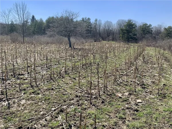 $350,000 | 6320 Stinson Road, Arcade, NY 14009