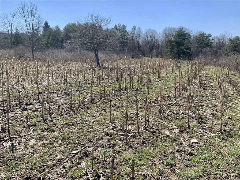 6320 Stinson Road Arcade, NY 14009 - Photo 13 of 21