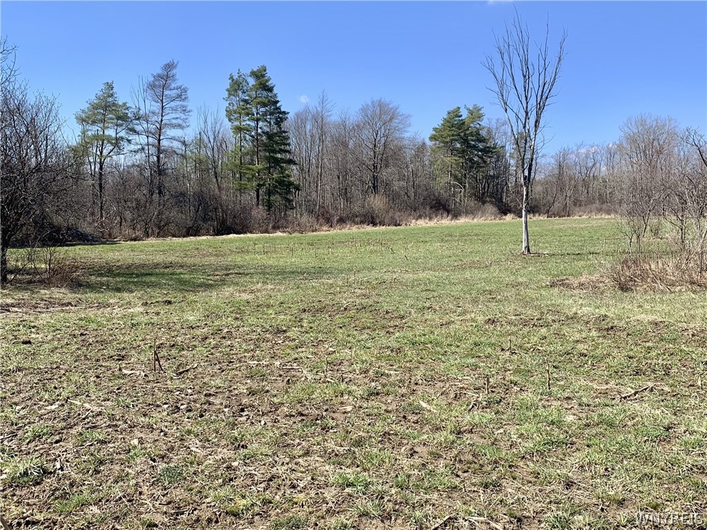 6320 Stinson Road Arcade, NY 14009 - Photo 14 of 21