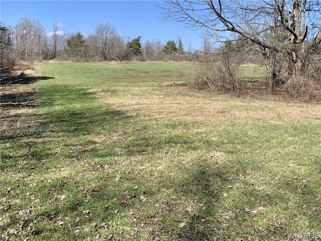 6320 Stinson Road Arcade, NY 14009 - Photo 15 of 21